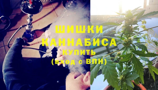 спайс Арсеньев